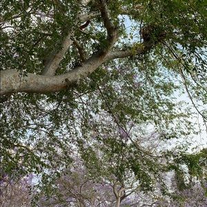 Meet your Posher, Mehtap